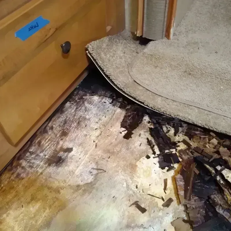 Wood Floor Water Damage in Petersburg, IL